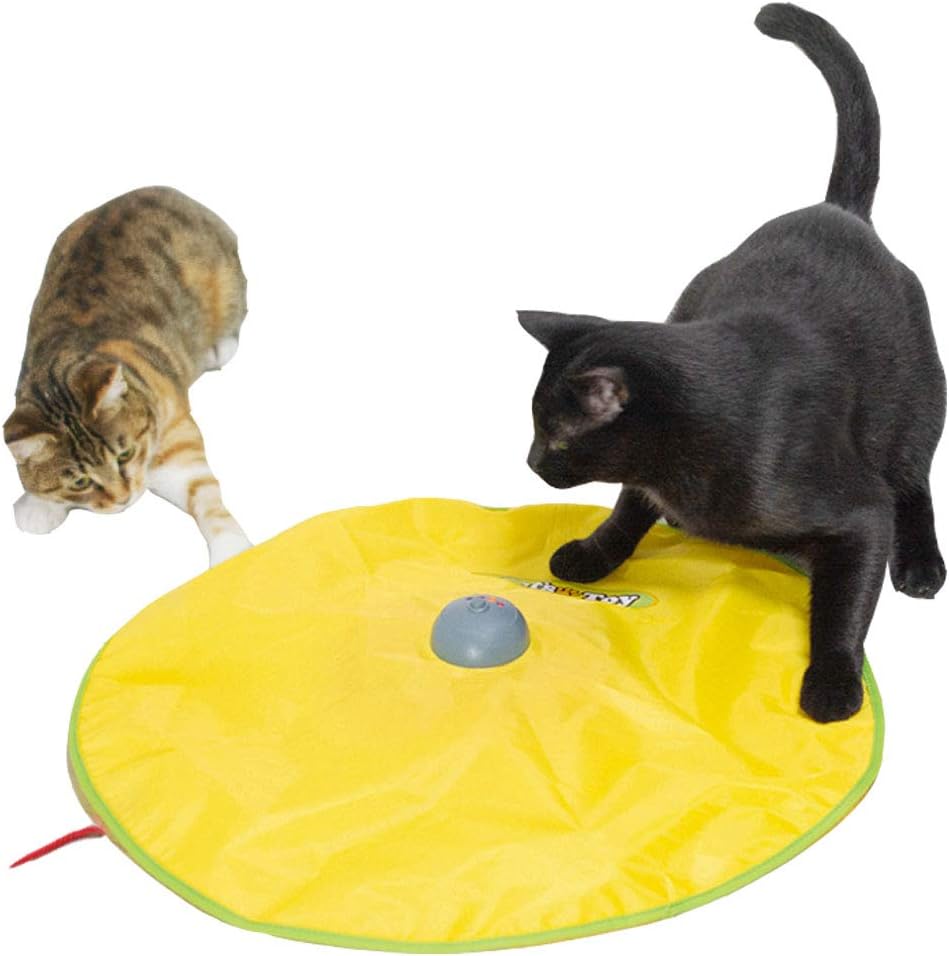 Cat Toy Interactive Electric Gym toys